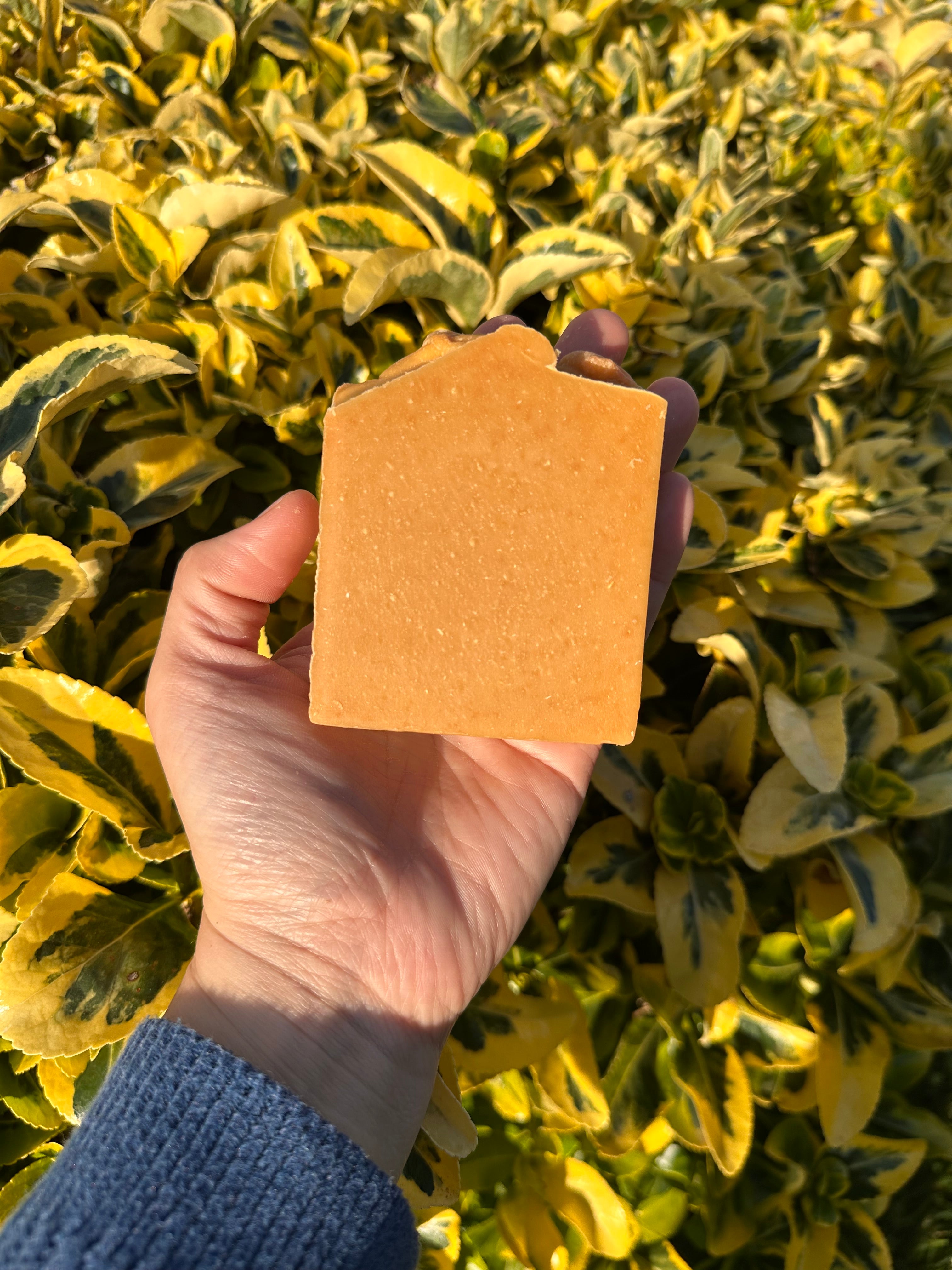 Papaya Enzyme | Natural Brightening and Exfoliating Bar Soap (Pre-Order Available June 26)